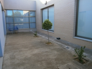 p5280037