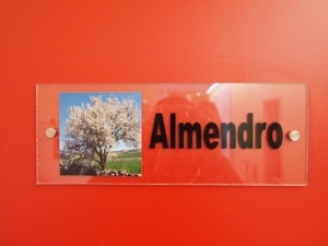 rojo1