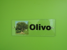 verde1